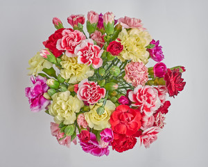 carnation flowers bouquet closeup, colorful background