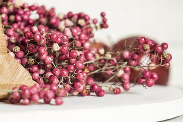 Rosa Pfefferbeerenstrauch, Rosa Pfeffer