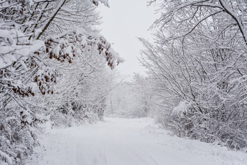 Winter panorama on the country side road