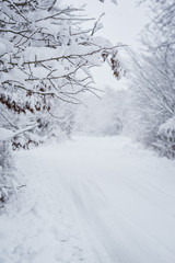 Fototapeta na wymiar Winter panorama on the country side road