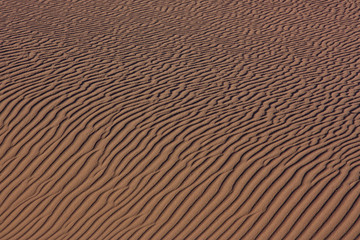 Fototapeta na wymiar texture of sand in the desert