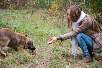 The dog man's best friend