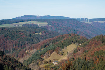 Fototapeta premium Blick über Schwarzwald