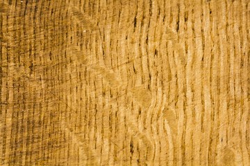 Wood texture for backgrounds