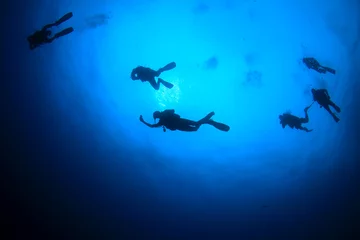 Deurstickers Scuba dive. Scuba divers in ocean. Scuba diving underwater © Richard Carey