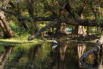 Lago de Camécuaro National Park