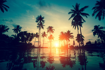 Sunset on a tropical resort beach with silhouettes of palm trees.