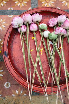Offerings at a temple in Chiang Mai, Thailand