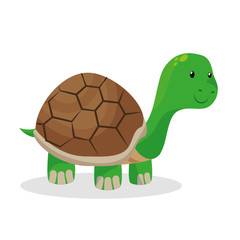 turtle pet shop isolated icon vector illustration design