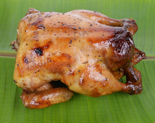 Roasted chicken with spices