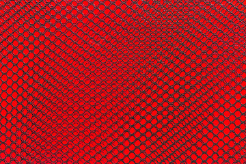 Black nylon net on red  background