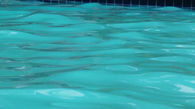 Swimming pool water loop