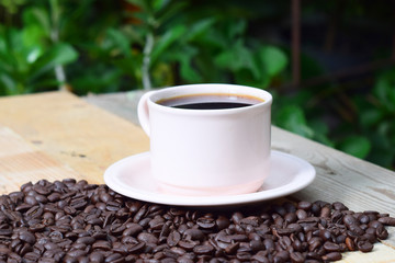 morning coffee in the garden