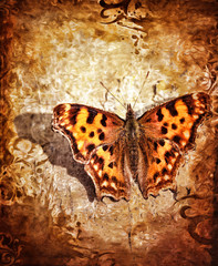 Painted Lady Butterfly