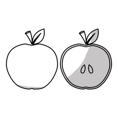 Slice of apple fruit in heart shape over white background. vector illustration