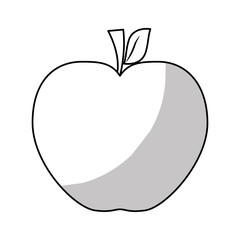 apple fruit icon over white background. vector illustration