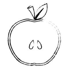 Slice of apple fruit in heart shape over white background. vector illustration