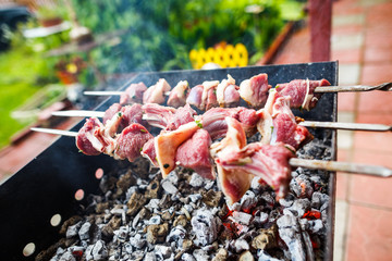 Barbecue skewers with meat