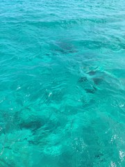 Obraz premium Travel 