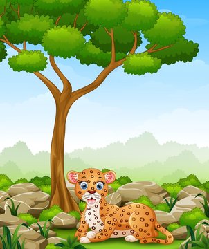 Cartoon leopard lay down in the jungle