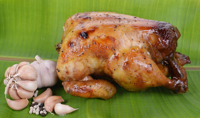 Roasted chicken with spices