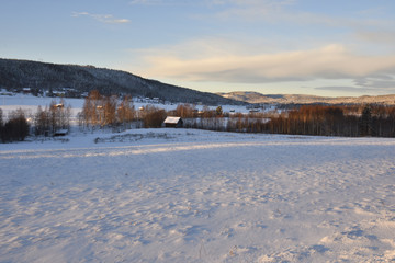 Midwinter sun shines over a snowy meadow with barns and a little village in background, picture from the North of Sweden.  