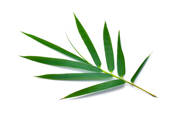 Naklejka premium Bamboo leaf isolated on white background