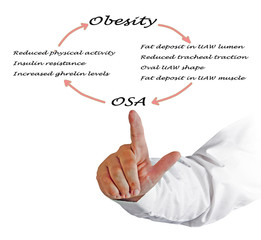 Relationship between OSA and obesity