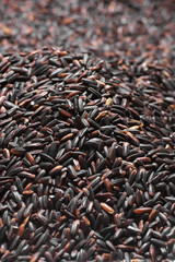 Pile of black rice