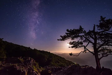  The Milky Way as seen from the Raven's Roost overlook on the  Blue Ridge Parkway (Virginia) © Stacy