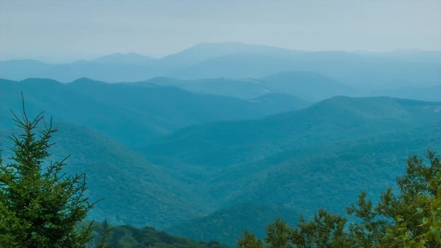 Scenic View over the Blue Ridge Mountains with the Camera Panning Slowly and Ending on a Pine Tree with the Majestic Layered Appalachian Mountain Range in the Background