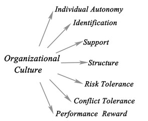 Organizational Culture