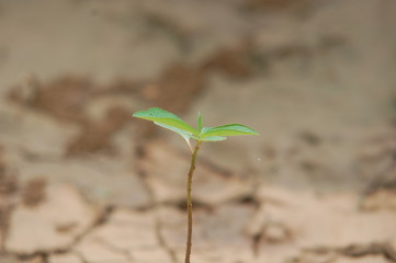 Lonely!