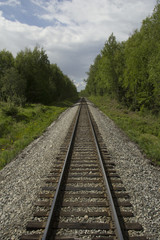 Fototapeta na wymiar Railroad track disappearing into an Alaskan forest