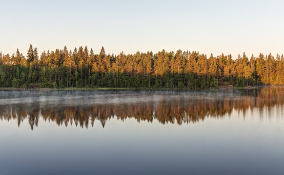 reflections on the forest lake
