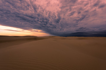 Plakat Sand Dune in Newcastle NSW Australia at sunset.