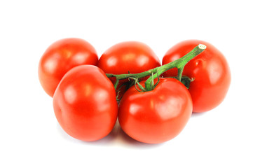 tomatoes isolated on white background
