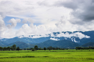 Beautiful green mountain and blue sky