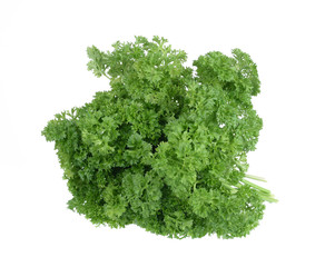Fototapeta premium Bunch of fresh green curly parsley. Isolated on white background