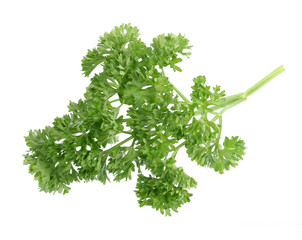 Bunch of fresh green curly parsley. Isolated on white background