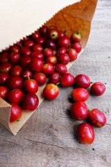 Fresh coffee bean for background