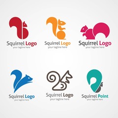Squirrel logo design template. Vector Illustration