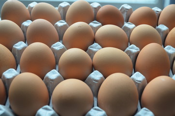 Several eggs on a egg frame box