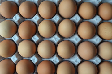 Several eggs on a egg frame box