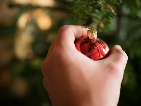 Decorating Christmas Tree