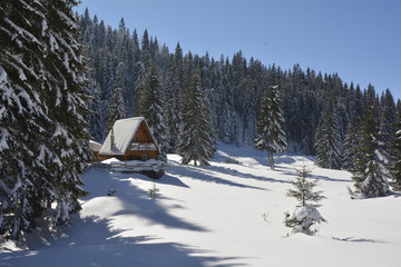 chalet