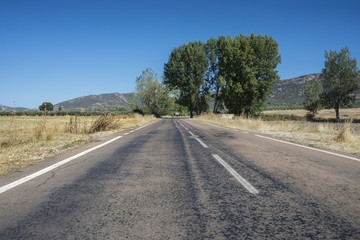 Fototapeta na wymiar Country road in an agricultural landscape in La Mancha, Ciudad Real Province, Spain
