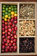 Coffee beans and fresh berries beans background