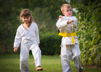 Karate martial Arts