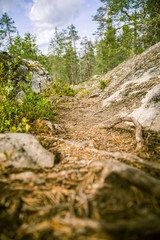 A beautiful rocky forest landscape in Finland